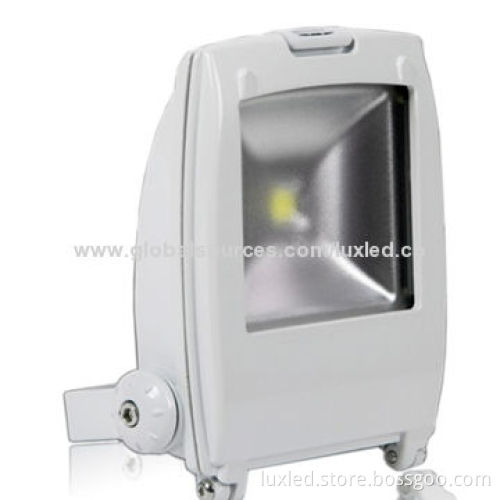 LED Floodlight, COB LED Bridgelux Chip, Meanwell Driver, Suitable for Garden or Building Wall